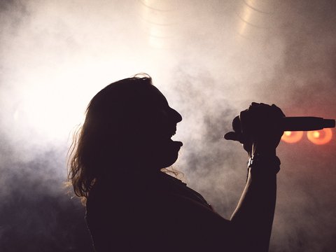 Eine Silhouette einer Person, die leidenschaftlich in ein Mikrofon singt. Sanfter Nebel umgibt die Figur, während Lichter im Hintergrund leuchten. Die Szene vermittelt eine Atmosphäre von Energie und Musik.