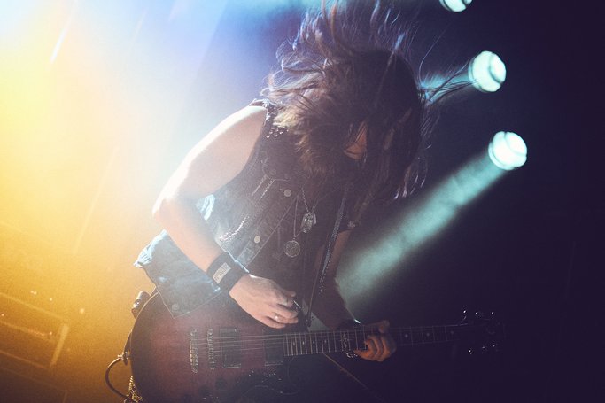 Ecliptica live szene Wien 2017
